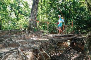 BIB: 
                            <button type="button" onclick="openModal(27800439)" class="btn btn-primary btn-sm float-right btn-popup" data-toggle="modal" data-target=".modal-high-quality">
                        <i class="fas fa-shopping-cart"></i> Add to Cart
                    </button>
                                            <button type="button" onclick="isThisMe(27800439, true)" class="btn btn-success btn-sm float-right btn-popup btn-isme hidden" data-toggle="tooltip" data-placement="bottom" title="นี่คือรูปของคุณใช่ไหม คลิกที่นี่เพื่อเอาเข้าอัลบั้ม">
                        <i class="fas fa-plus"></i> Add to album
                    </button>
                    <button type="button" onclick="isThisMe(27800439, false)" class="btn btn-warning btn-sm float-right btn-popup btn-isnotme hidden">
                        <i class="fas fa-ban"></i> Remove from album
                    </button>